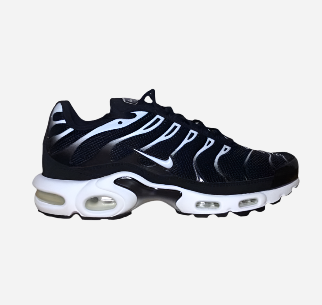 Nike Air Max Plus TN White Fade