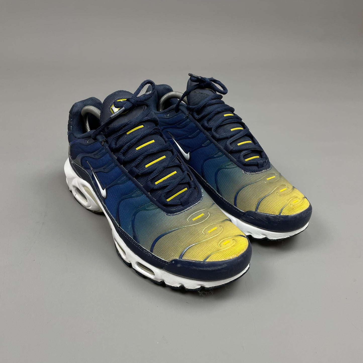 Nike Air Max Plus TN Gradient Pack