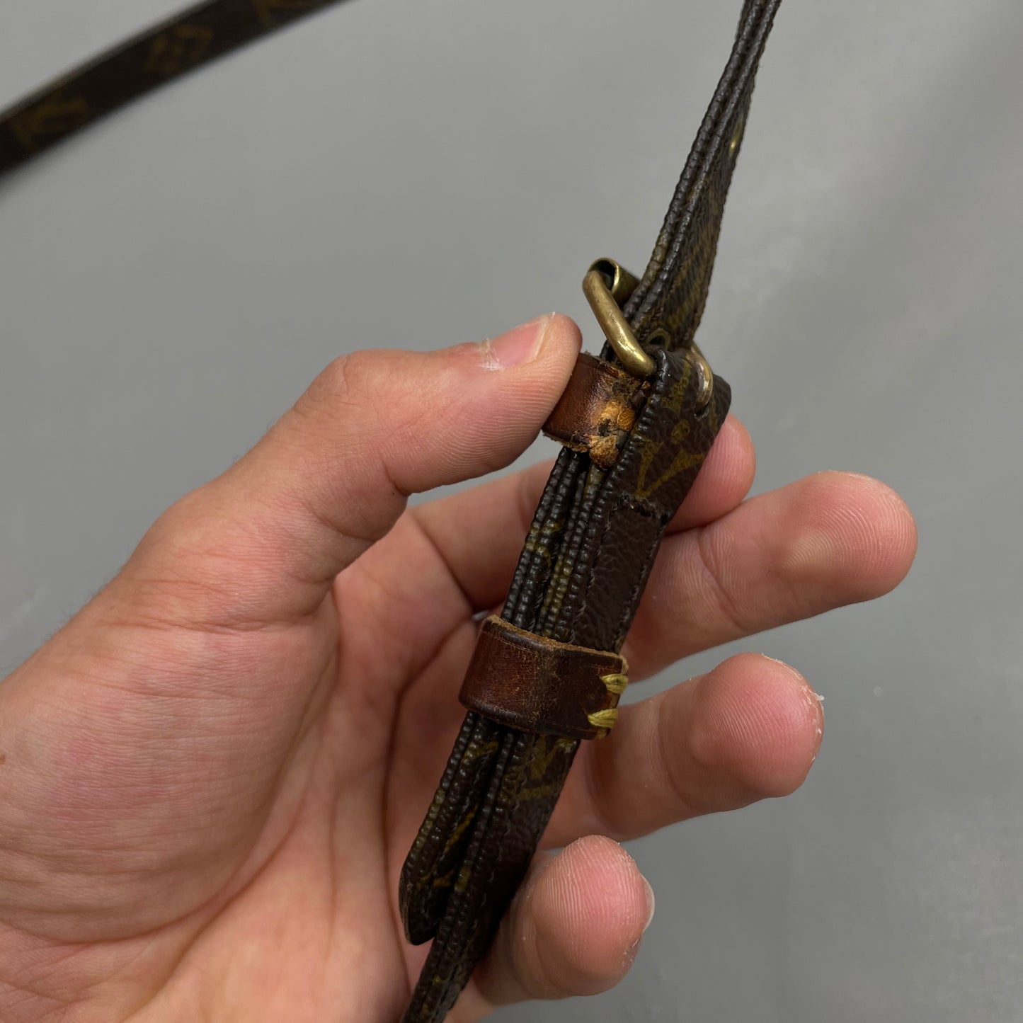 Louis Vuitton Danube Bag