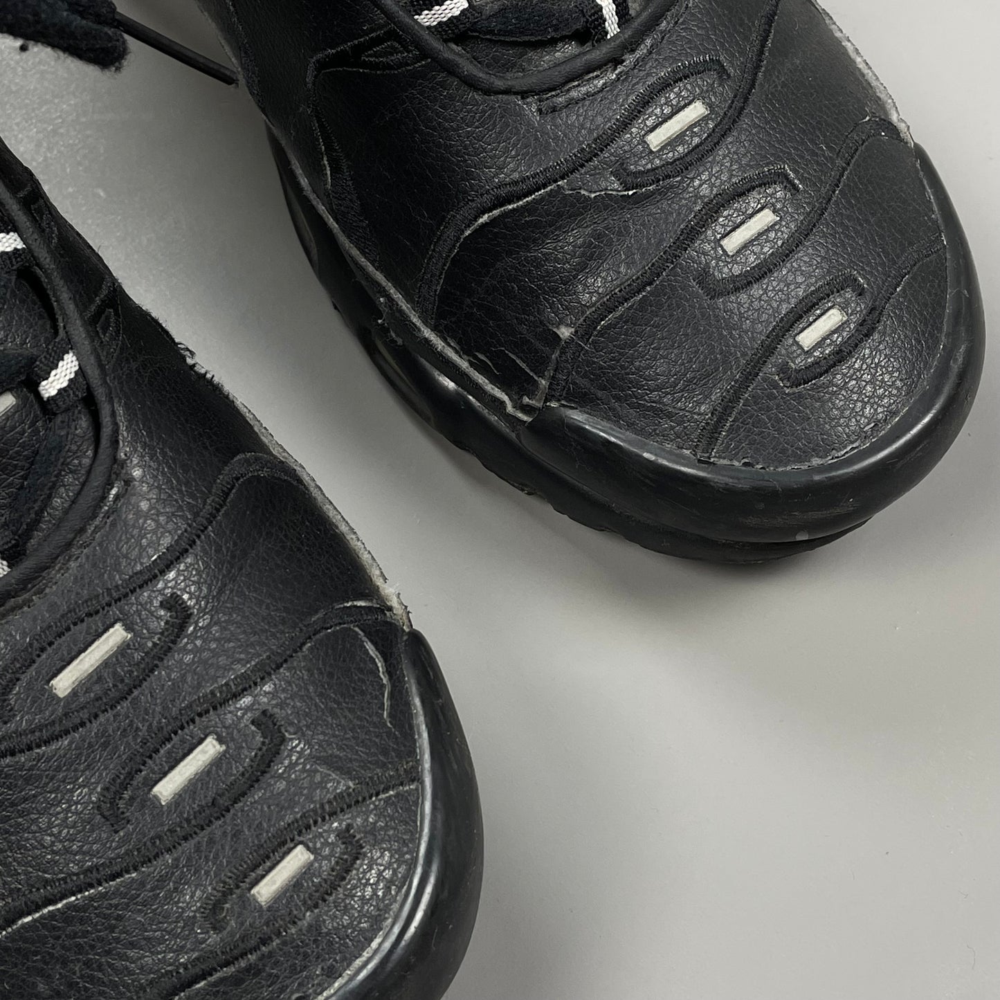 Nike Air Max Plus TN Leather