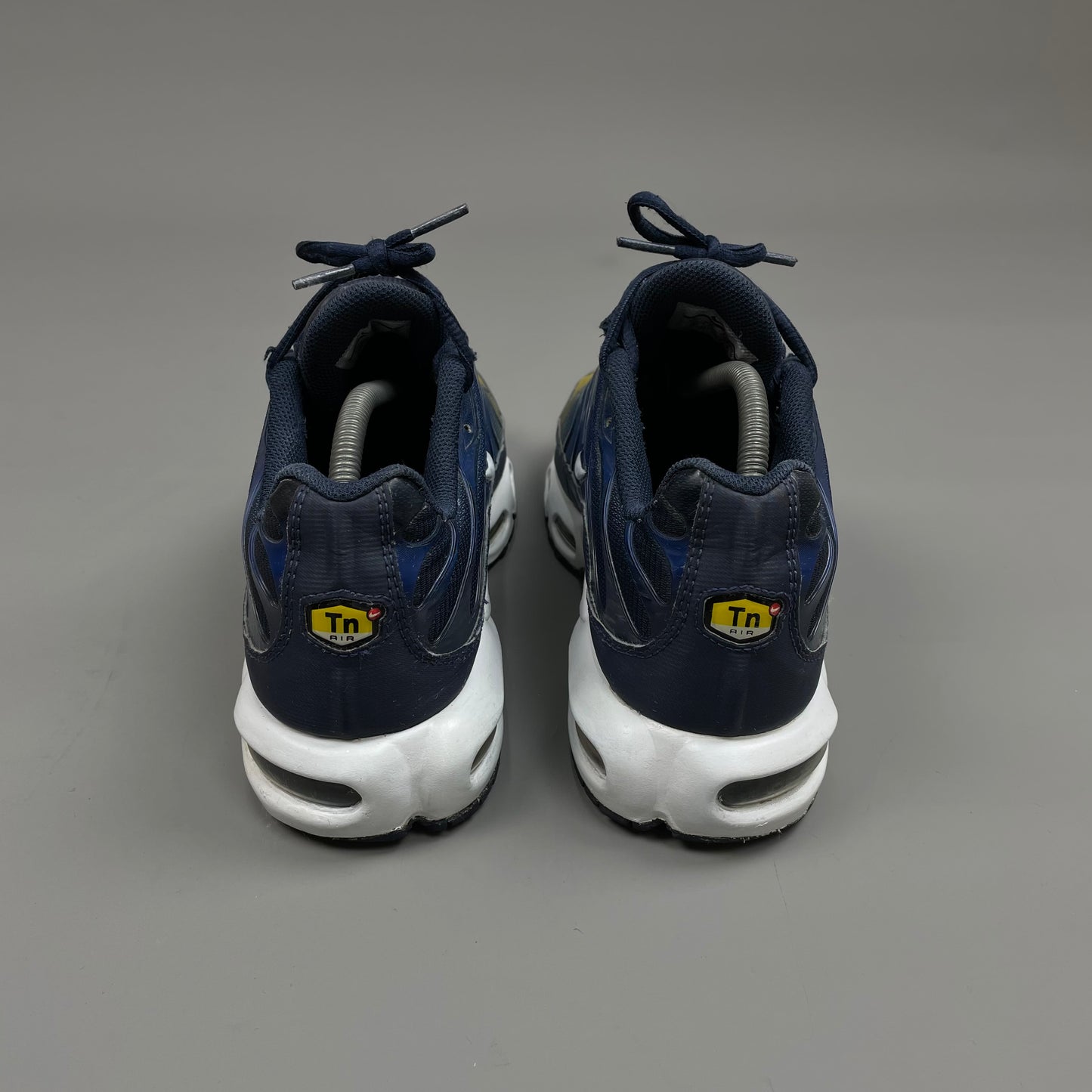 Nike Air Max Plus TN Gradient Pack