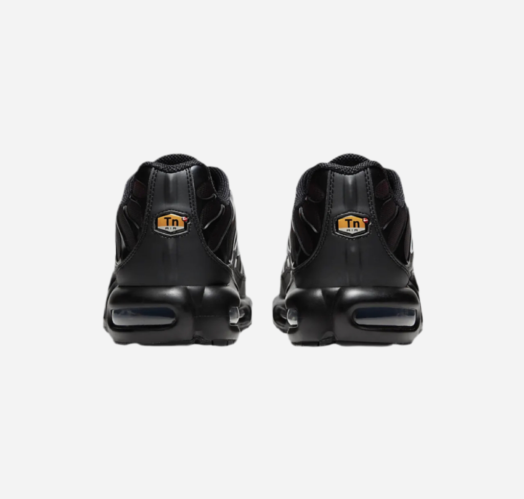 Nike Air Max Plus TN Red Fade