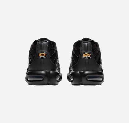 Nike Air Max Plus TN Red Fade