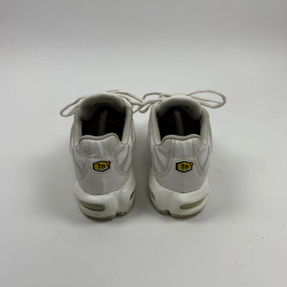 Nike Air Max Plus Tn