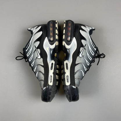 Nike Air Max Plus TN