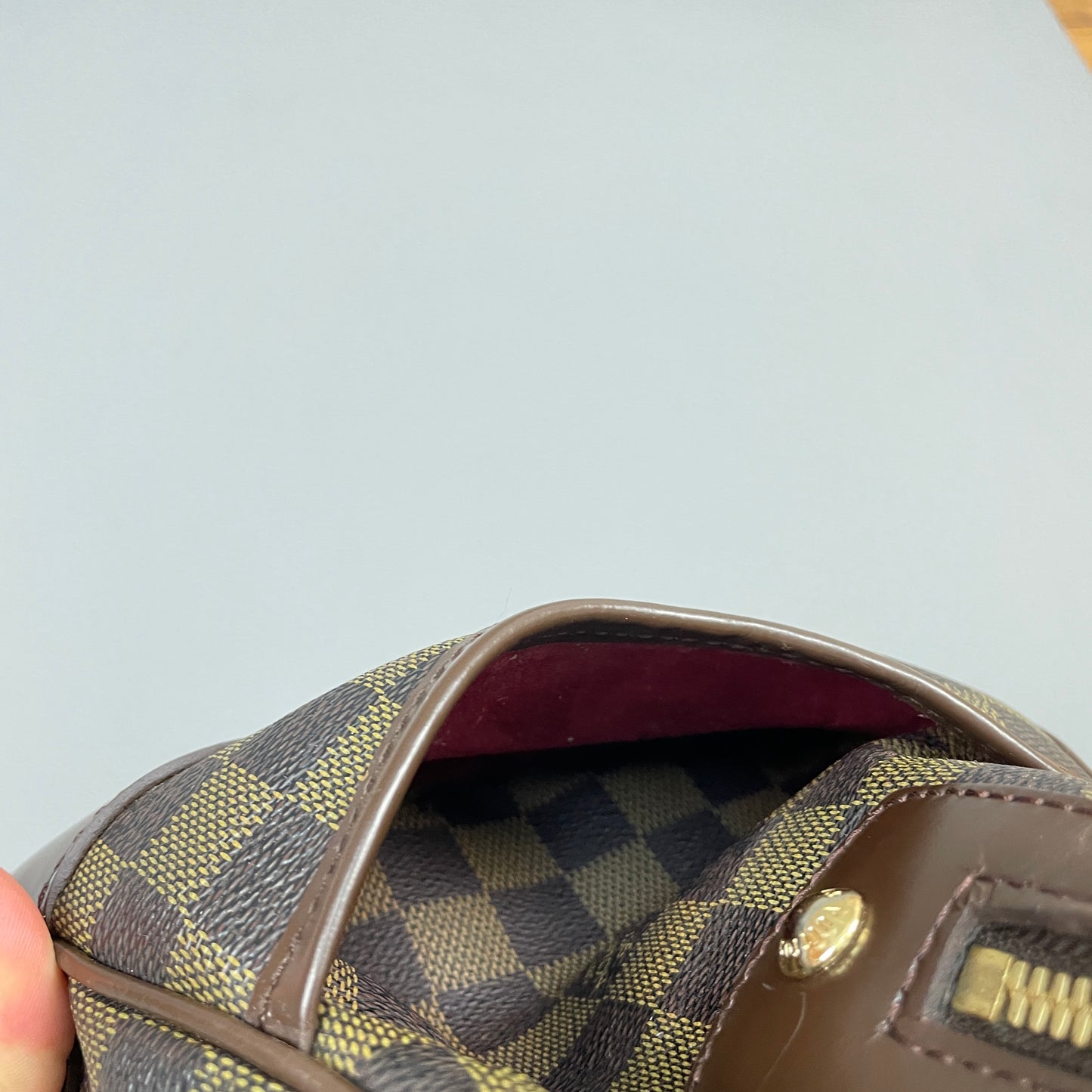 Louis Vuitton Berkeley Bag