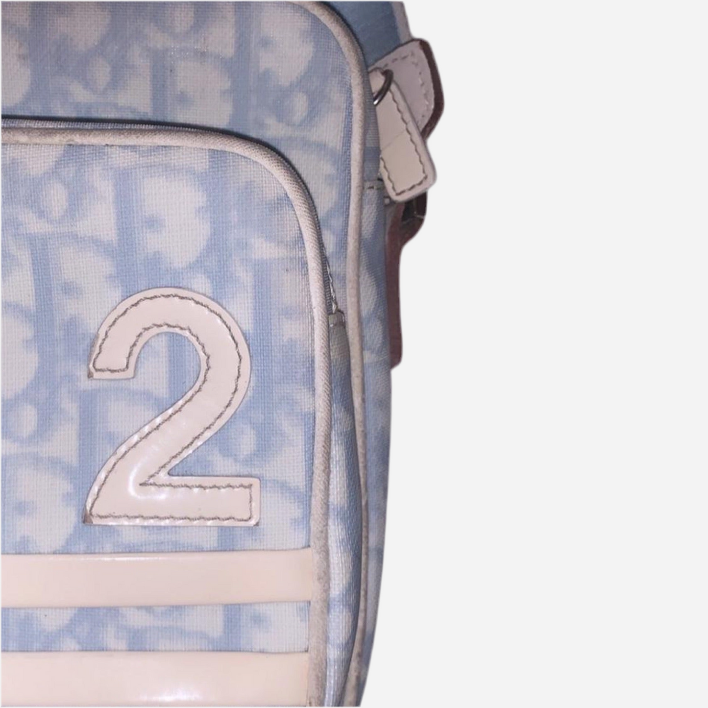 Dior Monogram Sidebag