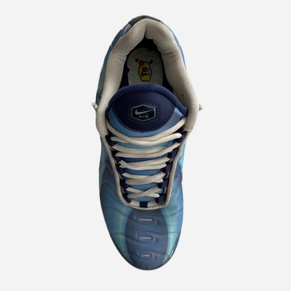 Nike Air Max Plus TN USA Exclusive