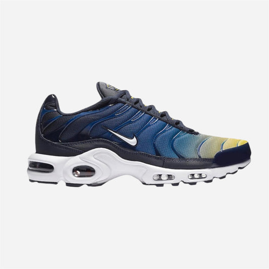 Nike Air Max Plus TN Gradient Pack