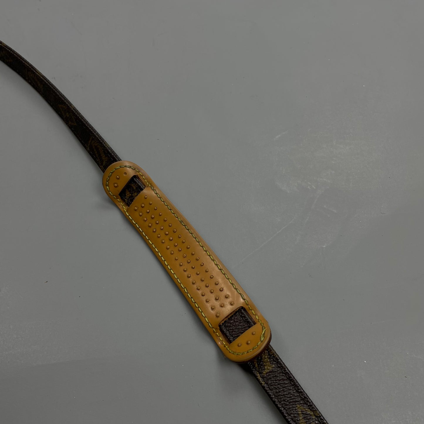 Louis Vuitton Danube Bag
