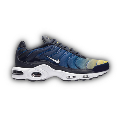 Nike Air Max Plus TN Gradient Pack