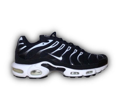 Nike Air Max Plus TN White Fade